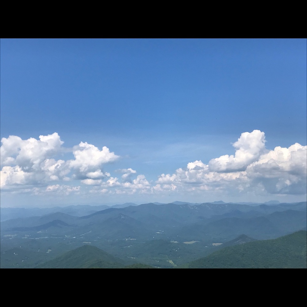 Meet your Posher, Alanna